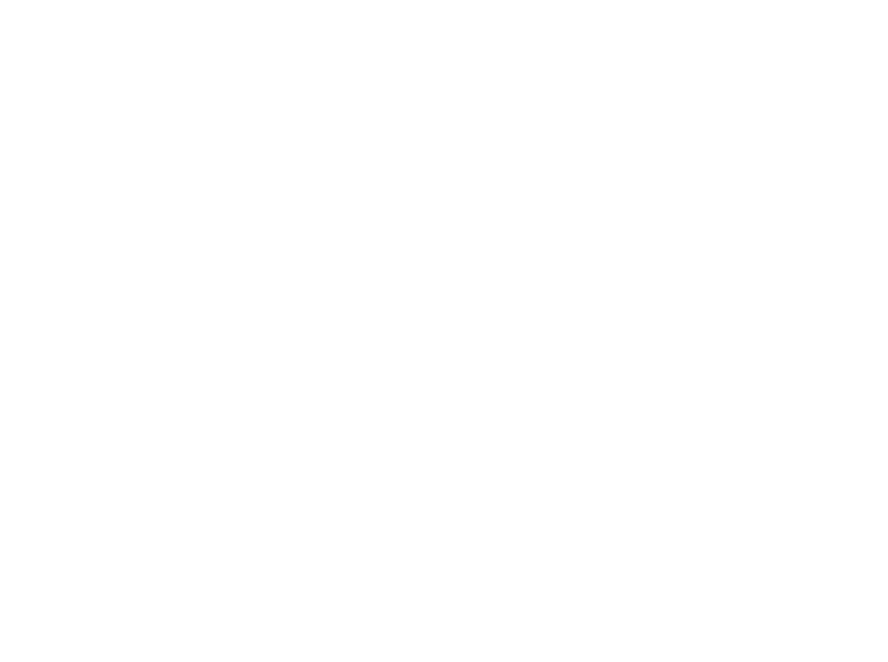 DeepSeek
