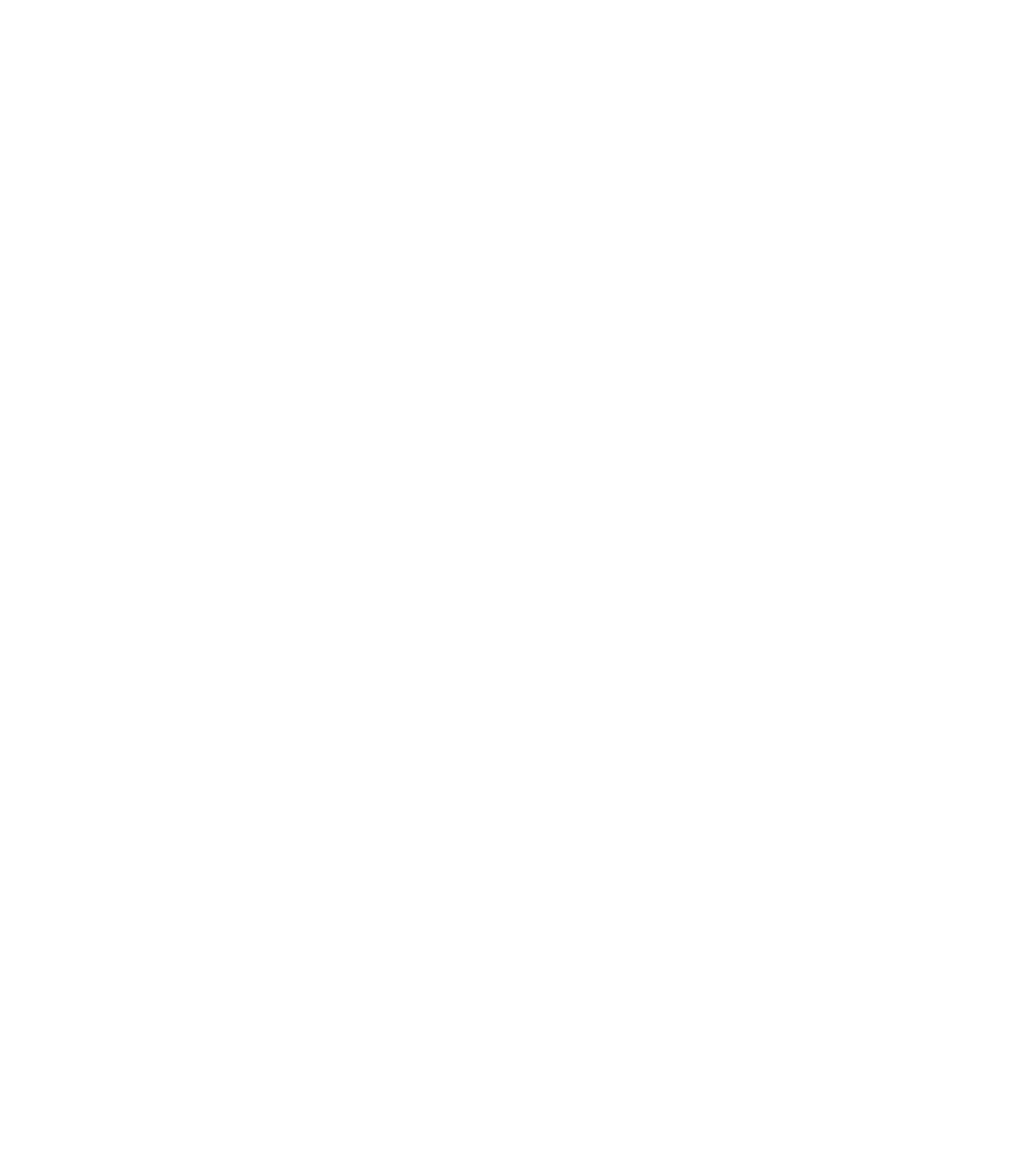 Perplexity