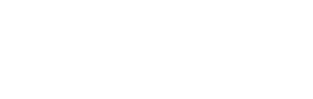 PICO VR